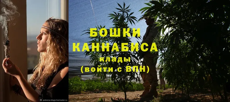 Каннабис White Widow  купить  цена  Волосово 